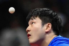 樊振东欧冠首秀3-0轻取对手，方博赛后犀利点评：对手实力明显不足